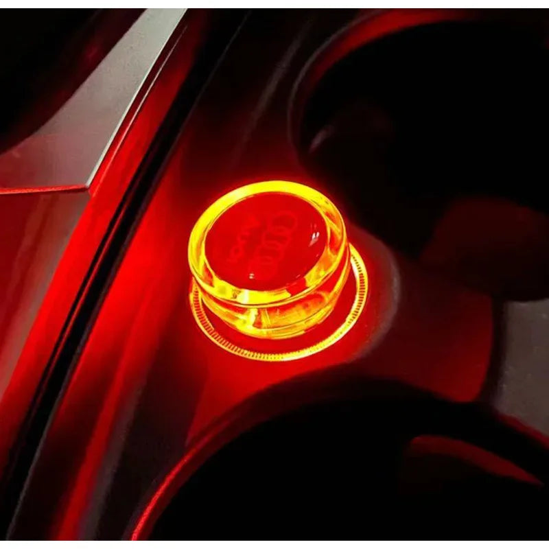 Audi 12v Dummy Plugs