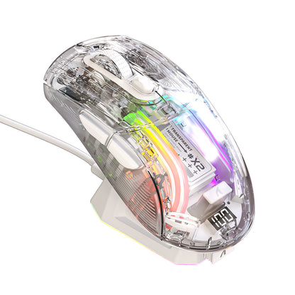 Wireless RGB Transparent Gaming Mouse - Comes with Charging Dock
